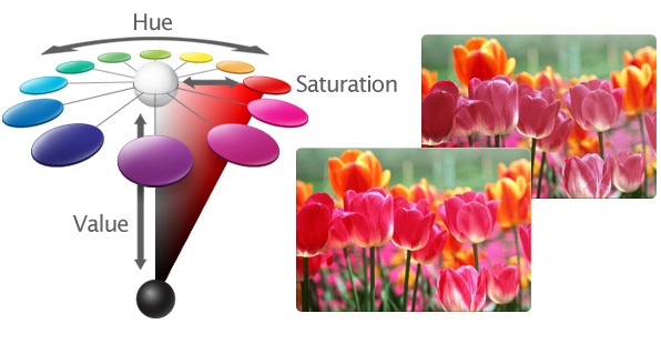 3D Color Management