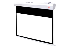 Business Premium 300 BT